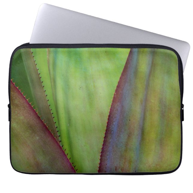 Capa Para Notebook Detalhes da Planta Agave (Frente)