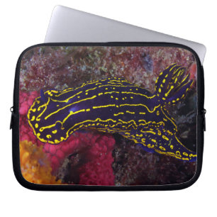 Capa Para Notebook Deusa do Mar Regal Nudibranch Felimare picta