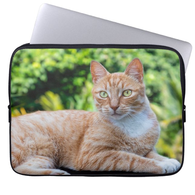 Capa Para Notebook Doce gatinho (Frente)