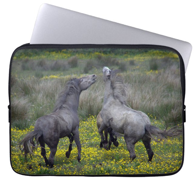 Capa Para Notebook Dois Cavalos Buck e Play (Frente)