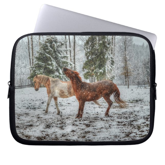 Capa Para Notebook Dois Cavalos Ranhosos a Jogar em Equídeos de Neve  (Frente)