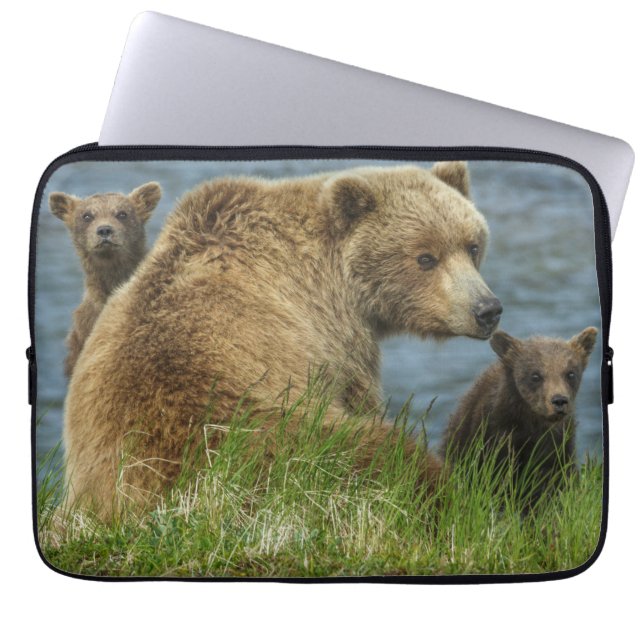 Capa Para Notebook Dois Filhotes de Urso Pardo com a Mãe perto da Águ (Frente)