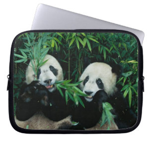 Capa Para Notebook Dois pandas comendo bambu juntos, Wolong