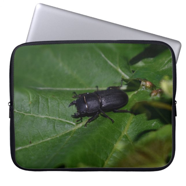 Capa Para Notebook Dorcus parallelipipedus , o escaravelho inferior (Frente)
