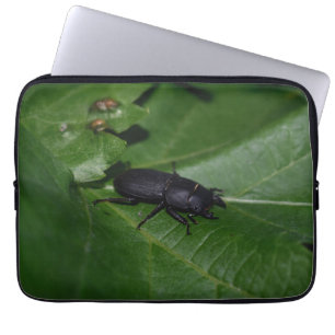 Capa Para Notebook Dorcus parallelipipedus , o escaravelho inferior