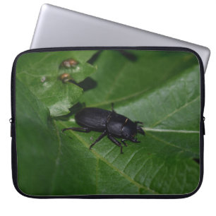 Capa Para Notebook Dorcus parallelipipedus , o escaravelho inferior