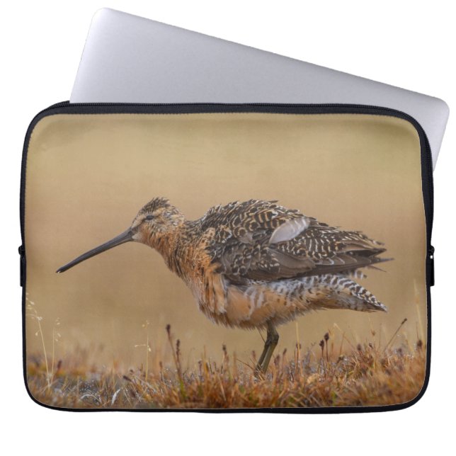 Capa Para Notebook Dowitcher de bico longo (Frente)