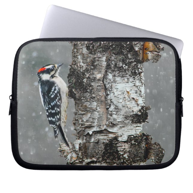 Capa Para Notebook Downy Woodpecker em Neve - Foto Original (Frente)