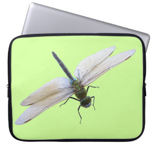 Capa Para Notebook Dragonfly