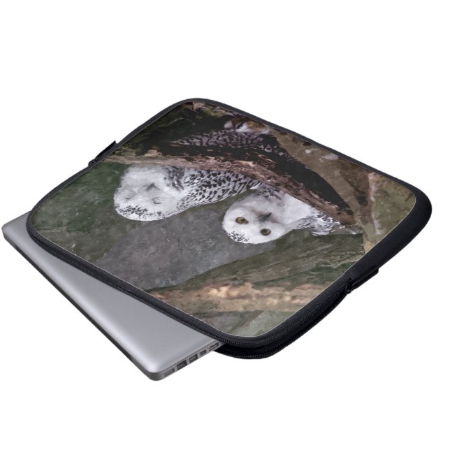 Capa Para Notebook Duas Corujas (Frente Inferior)