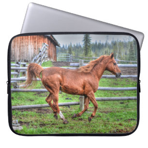 Capa Para Notebook Dun Pony, Cavalo no Ranch I