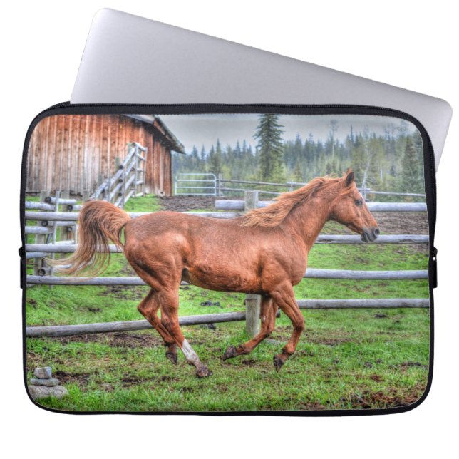 Capa Para Notebook Dun Pony, Cavalo no Ranch I (Frente)