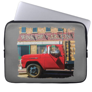 Capa Para Notebook É um esquilo, meu senhor