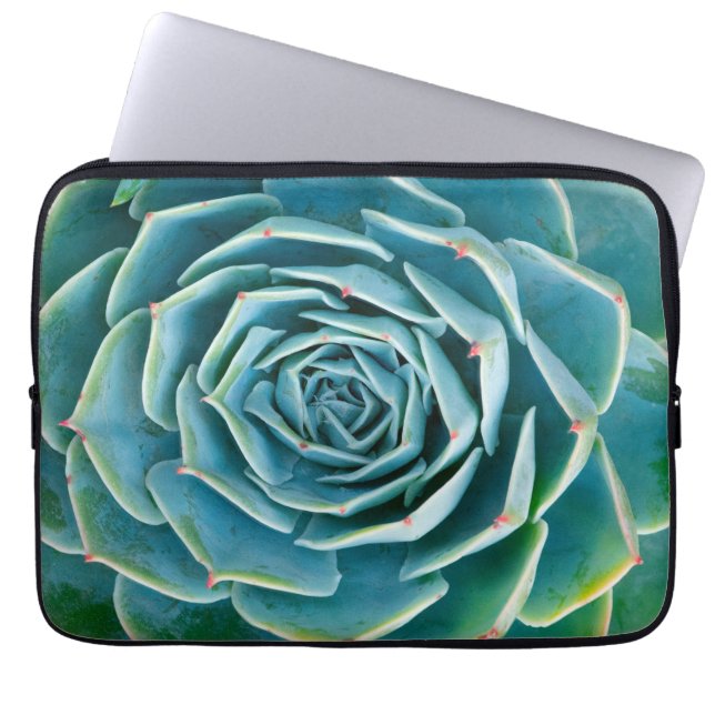 Capa Para Notebook Echeveria Roseta, Jardim Secreto de Marrakech (Frente)