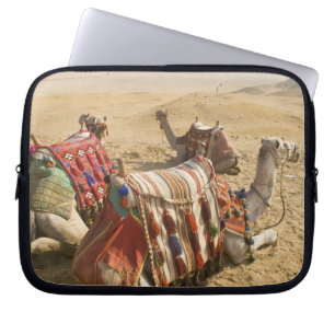 Capa Para Notebook Egito, Cairo. Camelos descansando