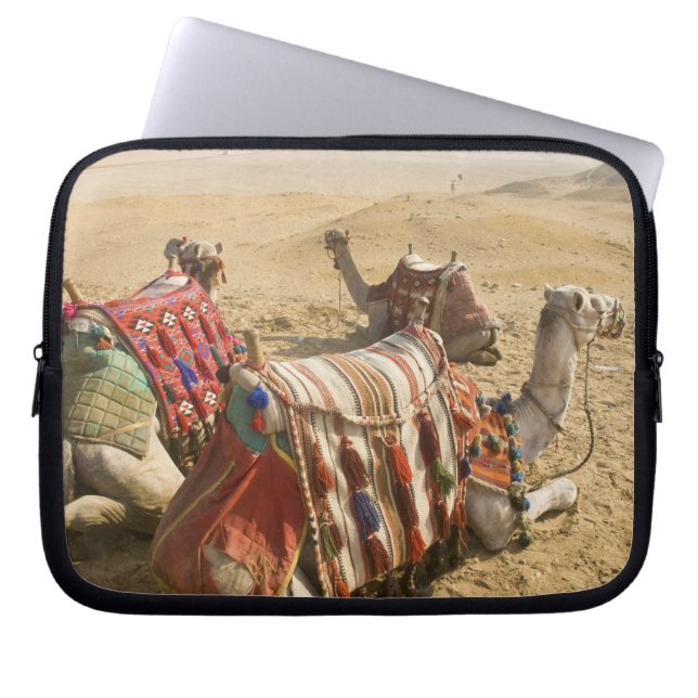 Capa Para Notebook Egito, Cairo. Camelos descansando (Frente)