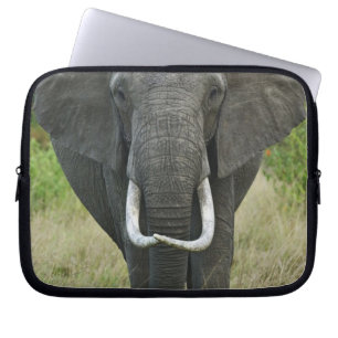 Capa Para Notebook Elefante-africano loxodonta, Masai Mara Game