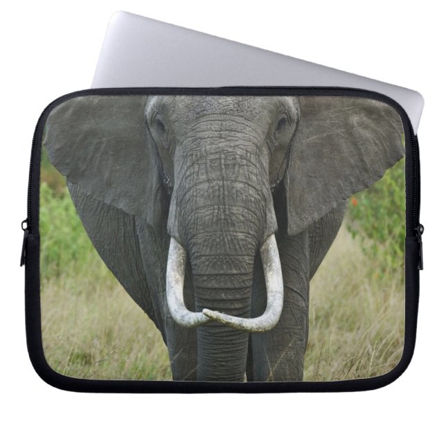 Capa Para Notebook Elefante-africano loxodonta, Masai Mara Game (Frente)