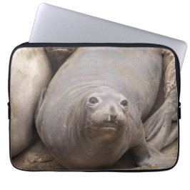 Capa Para Notebook Elephant Seal