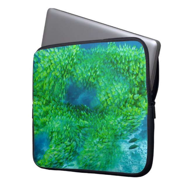 Capa Para Notebook Eletrônicos (Frente Esquerda)