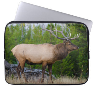 Capa Para Notebook Elk Parque Nacional Yellowstone, Wyoming