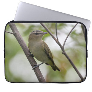 Capa Para Notebook Emerald Elegance: Vireo canadense de olhos vermelh