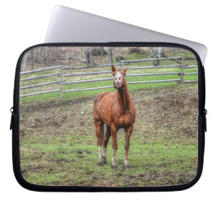 Capa Para Notebook Engraçado Chestnut Stallion Horse Whinnying Foto