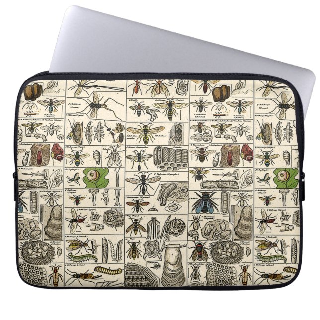 Capa Para Notebook Entomologia do vintage (Frente)