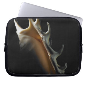 Capa Para Notebook Escudo do Conch