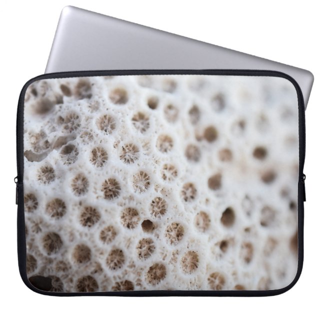 Capa Para Notebook Espuma (Frente)