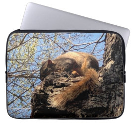 Capa Para Notebook Esquilo