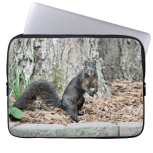 Capa Para Notebook Esquilo