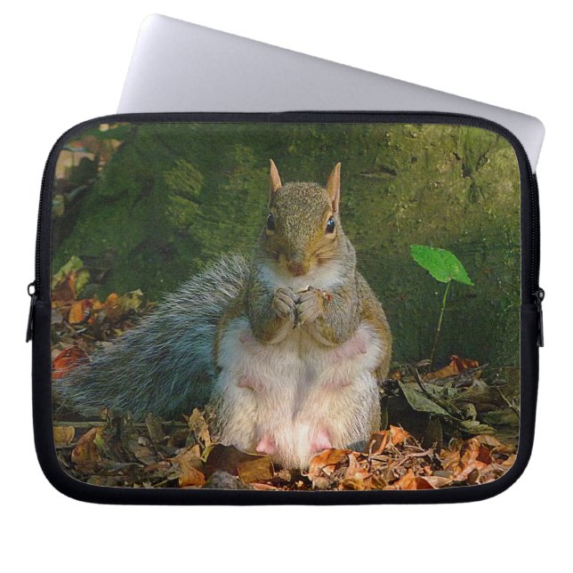Capa Para Notebook Esquilo das cinzas 01 (Frente)