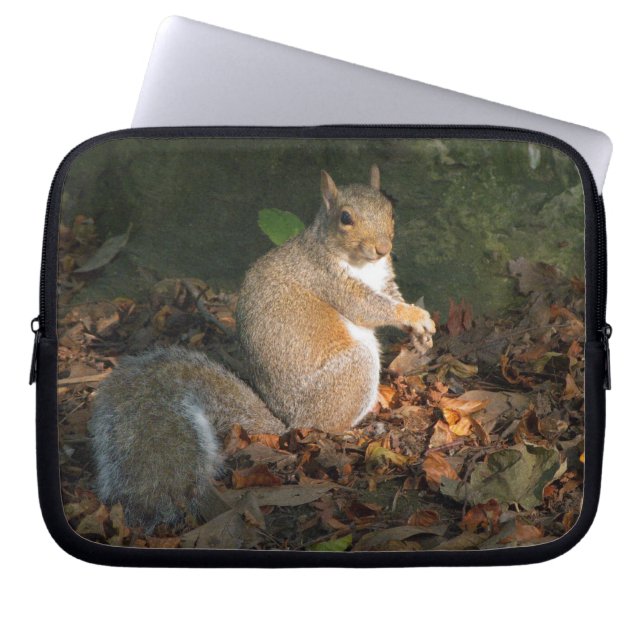 Capa Para Notebook Esquilo das cinzas 03 (Frente)