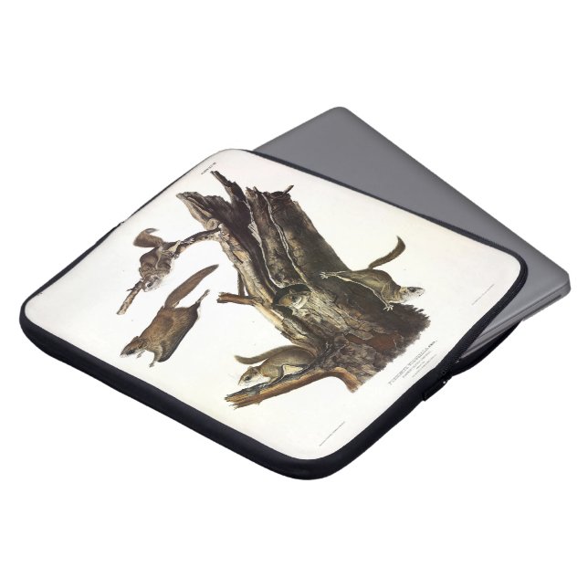 Capa Para Notebook Esquilo Voador Comum ou Sul, ou o Assapão (Frente Topo)