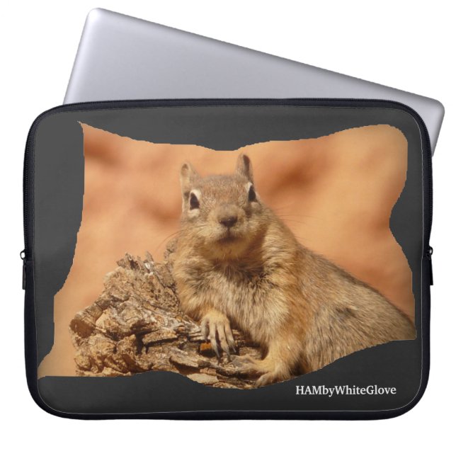 Capa Para Notebook Estojo para Laptop HAMbyWhiteGlove Squirrel (Frente)