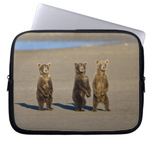 Capa Para Notebook EUA. Alasca. Filhotes de urso-pardo costeiro