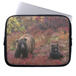 Capa Para Notebook EUA, Alasca, Parque Nacional Denali. Urso pardo