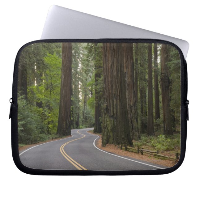 Capa Para Notebook EUA, Califórnia, estrada através da floresta da (Frente)