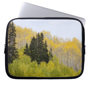 Capa Para Notebook EUA, Colorado, Floresta Nacional de Gunnison, ao l