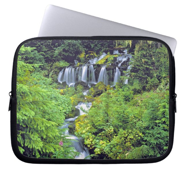 Capa Para Notebook EUA, Estado de Washington, Mt Adams Wilderness. Tw (Frente)