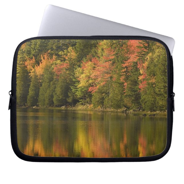 Capa Para Notebook EUA; Maine; Acadia NP. Reflexos de outono em (Frente)