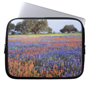 Capa Para Notebook EUA, Texas, Llano. Bluebonnets e redbonnets
