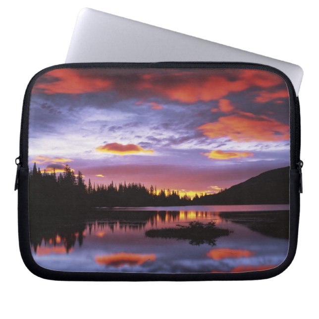 Capa Para Notebook EUA, Washington, Parque Nacional Mt. Rainier, (Frente)