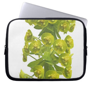 Capa Para Notebook Eufórbio
