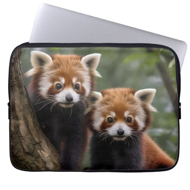 Capa Para Notebook "Exploradores do Topo das Árvores: Pandas Vermelho (Frente)