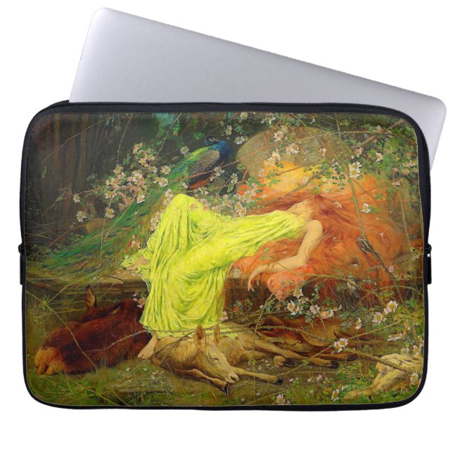 Capa Para Notebook Fada — Arthur Wardle (Frente)