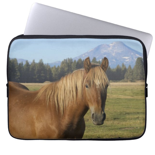 Capa Para Notebook Faixa da Cascata | Cavalo Castanho (Frente)
