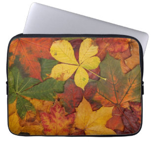 Capa Para Notebook Fall Foliage