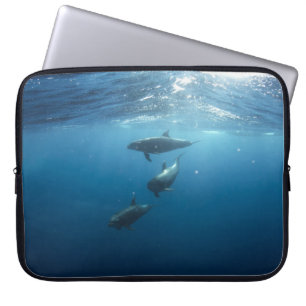 Capa Para Notebook Família de golfinhos submarinos